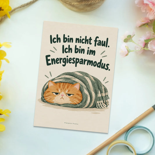 Lustige Postkarte für Katzenfreunde mit eingewickelter Katze|p:2013044|h:fd519a57d2ec92b02468930294cb1760