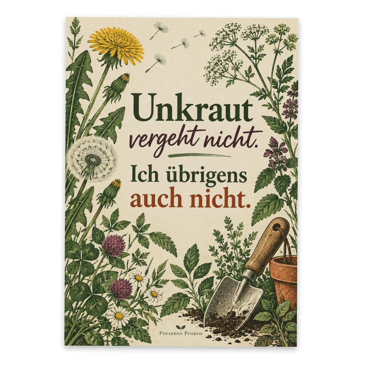 Lustige Geburtstagspostkarte mit Löwenzahn|p:2012690|h:097239de63bded1c967d64a19fb50efa