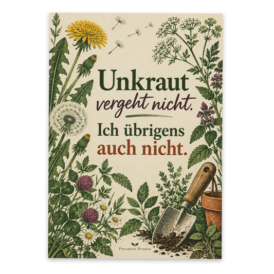 Lustige Geburtstagspostkarte mit Löwenzahn|p:2012690|h:097239de63bded1c967d64a19fb50efa