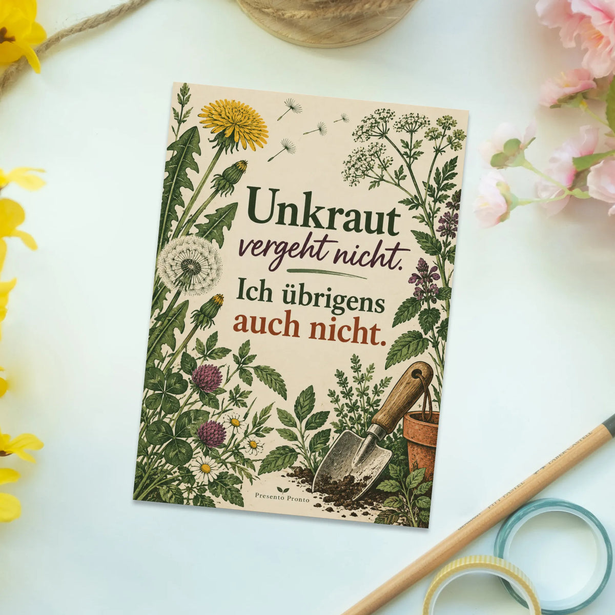 Lustige Geburtstagspostkarte mit Löwenzahn|p:2012690|h:143c2713f66b37aa22856bc80ace45f1