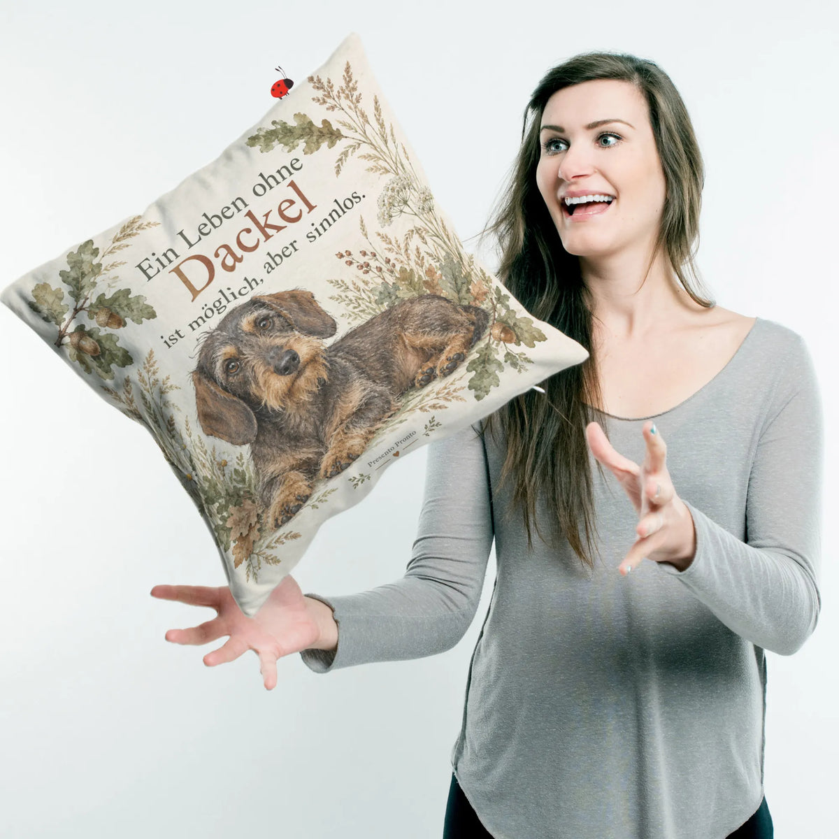 Lustiges Kissen für Dackelbesitzer mit rauhaarigem Dackel|p:2014766|h:6a07fe5173f08d93467b3154b7f914a2
