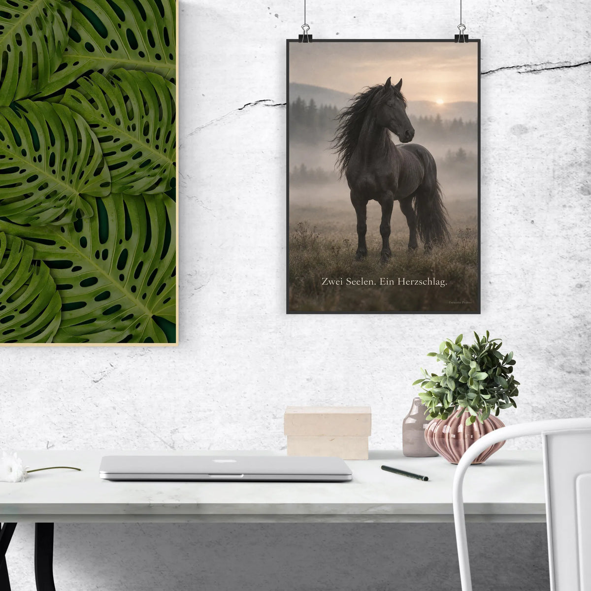 Emotionales Bild mit Pferd für Pferdeliebhaber schwarzes Pferd|p:2016286|h:d3f9eff64df749ed7a79a2d4152d7f2b