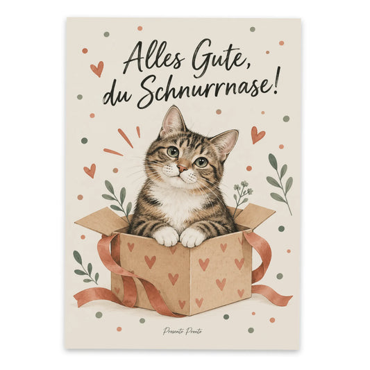 Lustige Grußkarte mit Katze für Katzenfreunde|p:2016563|h:f1af4baea6c44f52c4559b6f07f60e92