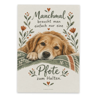 Herzliche Postkarte mit Hund zum Trost spenden|p:2016570|h:85a46dec81cdde8ed4e04e28a6aaf917