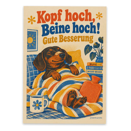 Lustige Postkarte zur guten Besserung mit Dackel|p:2016605|h:06dbb9547703381fec4adb759a4cd393