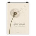 Besinnliches Bild mit Pusteblume für Neuanfang