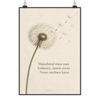 Besinnliches Bild mit Pusteblume für Neuanfang|p:2018155|h:d84a4ff93201683076a11c1b5b0d13d6