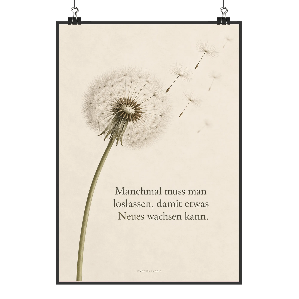 Besinnliches Bild mit Pusteblume für Neuanfang