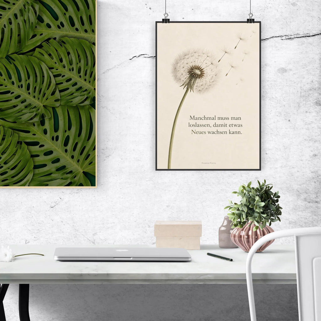 Besinnliches Bild mit Pusteblume für Neuanfang|p:2018155|h:8ba5fc39cbcd2a409c4090cd07a87dd7