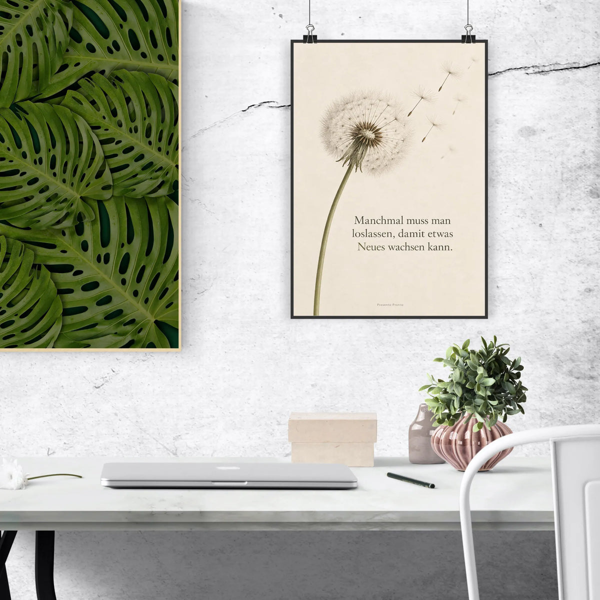 Besinnliches Bild mit Pusteblume für Neuanfang