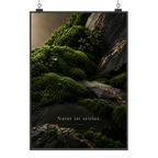 Beruhigendes Wandbild mit Moos für Naturliebhaber|p:2018525|h:c7a91b10a144905b49ba92db42ea70a7