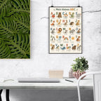 Süßes ABC Poster für Kinder mit Tieren|p:2018534|h:4aa6a91ce60d6add31cd8be26277efca