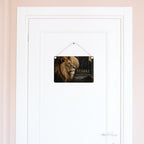 Starkes Holzbild mit Löwe zur Motivation|p:2019881|h:e8d7584cbed3b930fc13d8f3e6897bed