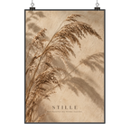 Beruhigende Wanddeko mit Riedgras für stille Auszeit|p:2020755|h:823d7519f657e7cf06e07783f4ba668a