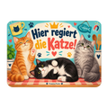 Lustiger Kühlschrankmagnet für Katzenfans mit drei Katzen