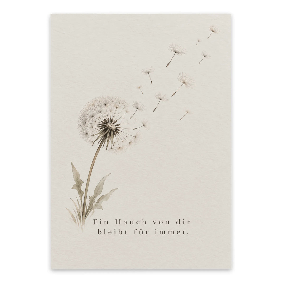 Einfühlsame Trauerkarte mit Pusteblume