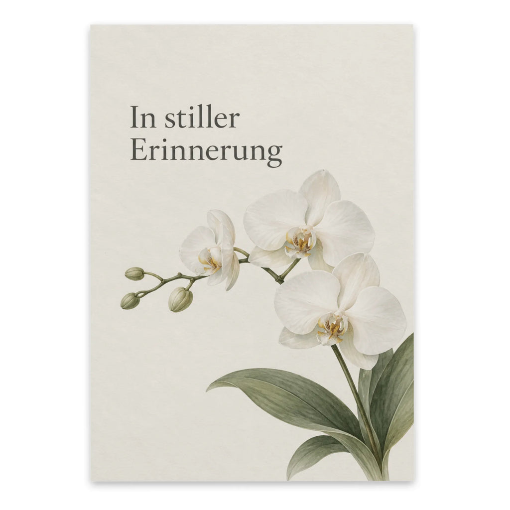 Würdevolle Trauerkarte mit weißer Orchidee|p:2022176|h:4968903052221c9b46e6304ee4e1761a